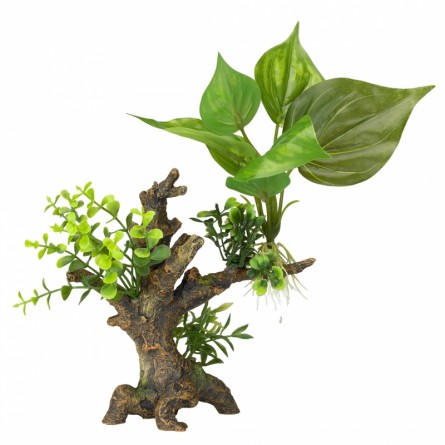 Aqua Della - Florascape 6 S - 14,5x9x16,5cm Aqua Della - Florascape 6 S - 14,5x9x16,5cm