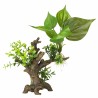 Aqua Della - Florascape 6 S - 14,5x9x16,5cm Aqua Della - Florascape 6 S - 14,5x9x16,5cm