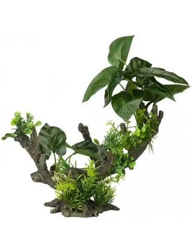 Aqua Della - Florascape 2 L - 28x15x23,5cm