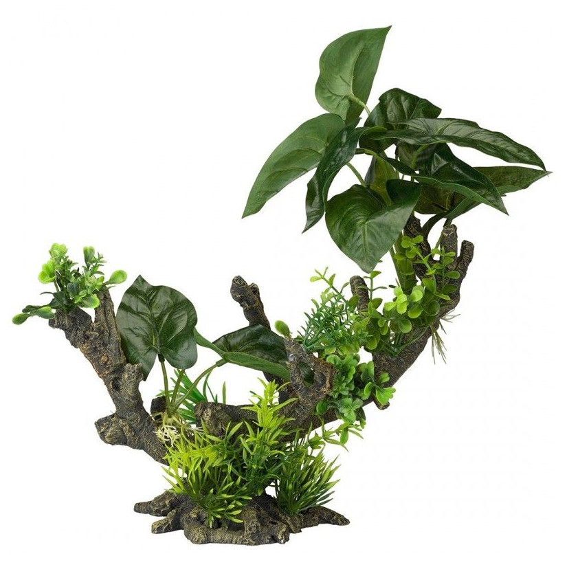 Aqua Della - Florascape 2  L - 28x15x23,5cm