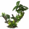Aqua Della - Florascape 2L - 28x15x23.5cm Aqua Della - Florascape 2L - 28x15x23.5cm