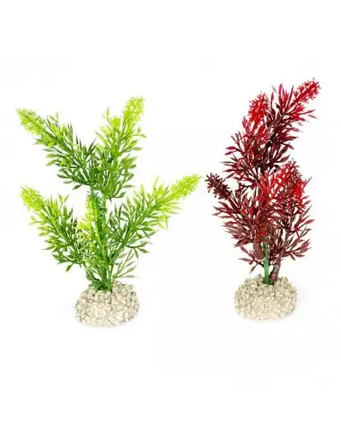 Aqua Della - Elodea densa Pflanze Gemischte Farben M - 25cm
