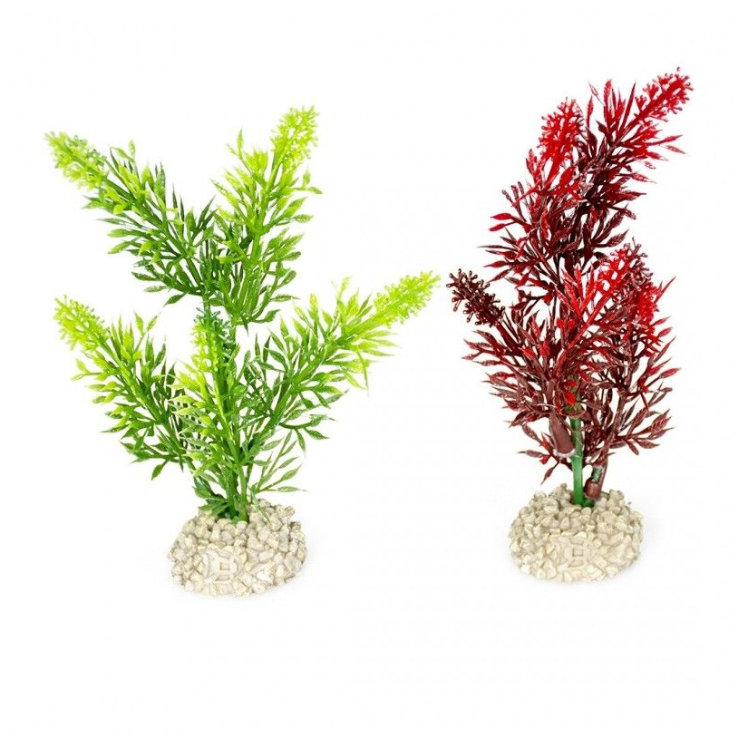 Aqua Della - planta Elodea densa Cores misturadas M - 25cm