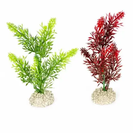 Aqua Della - Elodea densa Pflanze Gemischte Farben M - 25cm Aqua Della - Elodea densa Pflanze Gemischte Farben M - 25cm