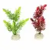 Aqua Della - Elodea densa Pflanze Gemischte Farben M - 25cm Aqua Della - Elodea densa Pflanze Gemischte Farben M - 25cm