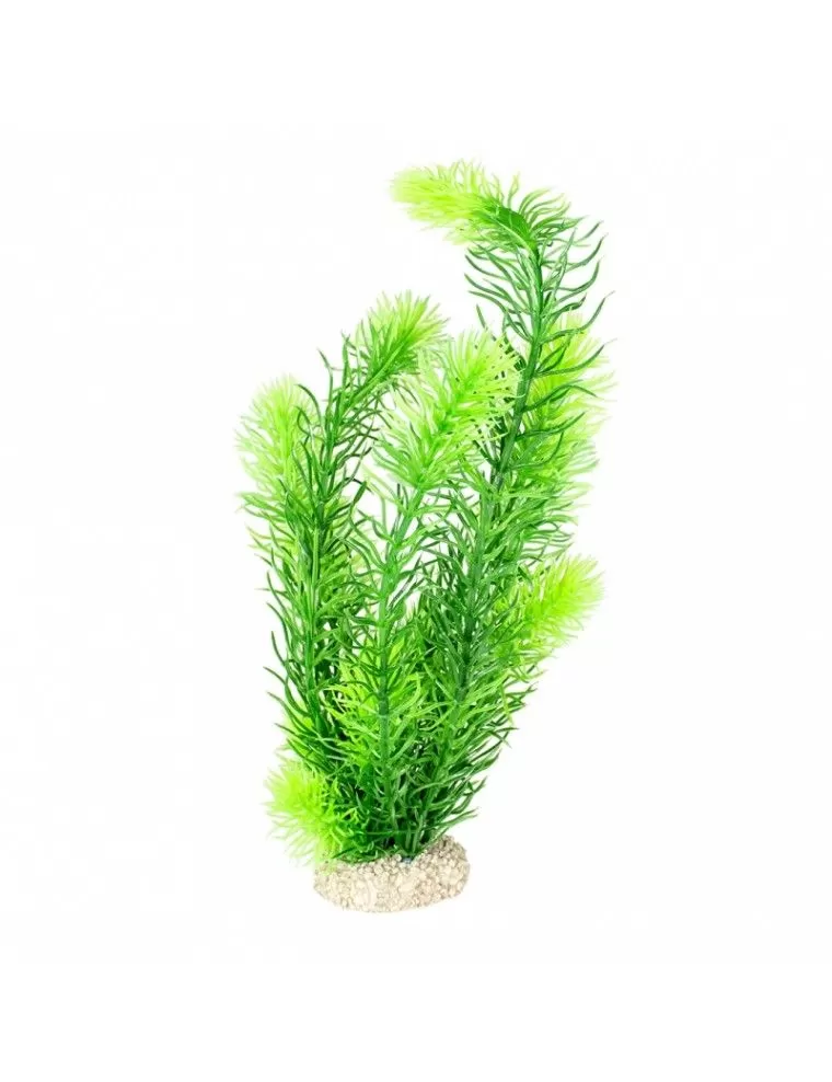 Aqua Della - Hornwort Plant Dark Green - 32cm