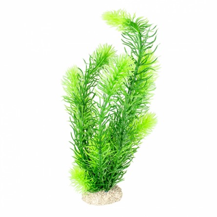 Aqua Della - Hoornbladplant Donkergroen - 32cm Aqua Della - Hoornbladplant Donkergroen - 32cm