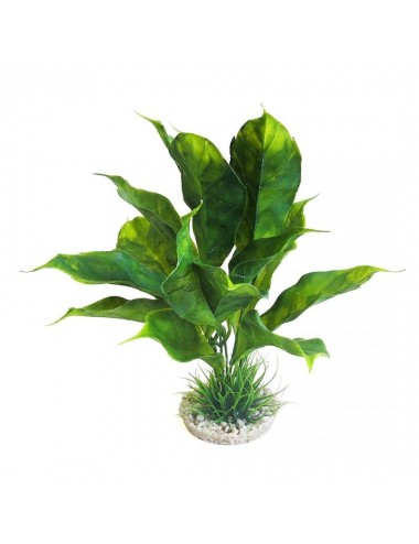 Aqua Della - Planta de anubias Sydeco - 28cm - Planta artificial de decoración