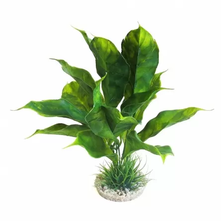 Aqua Della - Planta de anubias Sydeco - 28cm - Planta artificial de decoración