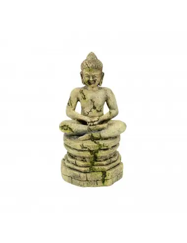 AQUAVIE - DECO R ZEN BOUDDHA MUR - 9x8,5x17,5cm