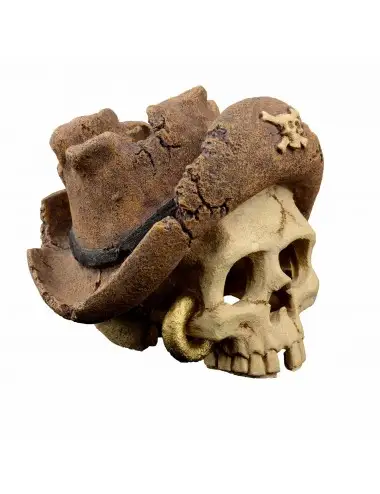 AQUAVIE - DECO R BAT HEAD PIRATE 1 - 8,5x7,5x7cm