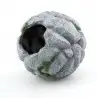 AQUAVIE - DECO R HABITAT DOMO 13 - 13.5x13.5x12.7cm AQUAVIE - DECO R HABITAT DOMO 13 - 13.5x13.5x12.7cm