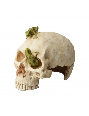 AQUAVIE - DECO R TERRA KRAAN FUN - 16,5x12x13cm