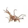 AQUAVIE – Seltene rote Rebe – MM-GM – 30–50 cm AQUAVIE – Seltene rote Rebe – MM-GM – 30–50 cm