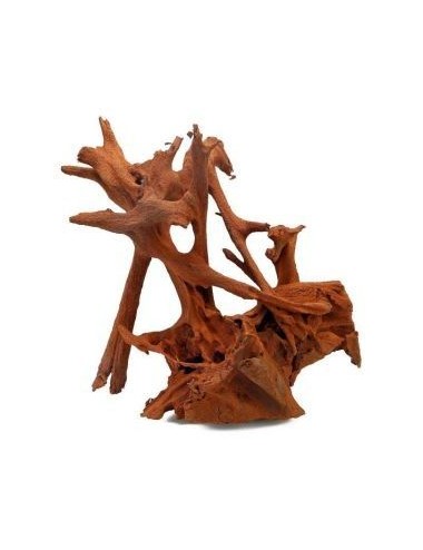 AQUAVIE - Mangrove Root - TTGM - 160-180 cm