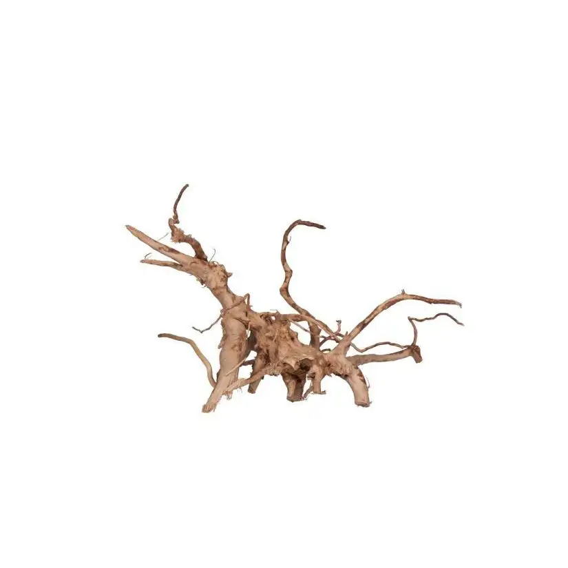AQUAVIE - Vigne rare rouge - XL - 40-80 cm
