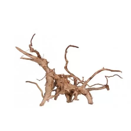 AQUAVIE - Rare red vine - XL - 40-80 cm