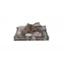 AQUAVIE - Aquanature Kit - Verschiedene graue Ranken und Steine AQUAVIE - Aquanature Kit - Verschiedene graue Ranken und Steine