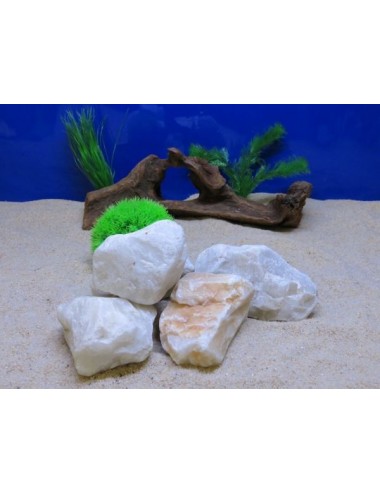 AQUAVIE - Pierre - QUARTZ BLANC - S