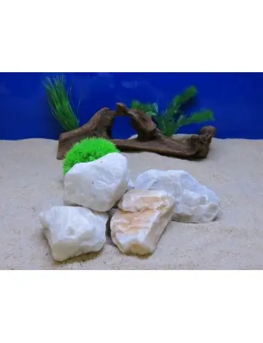 AQUAVIE - Stone - WHITE QUARTZ - S