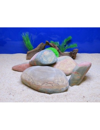 AQUAVIE - Pierre - FUTUR S1 - FREAK ROCK