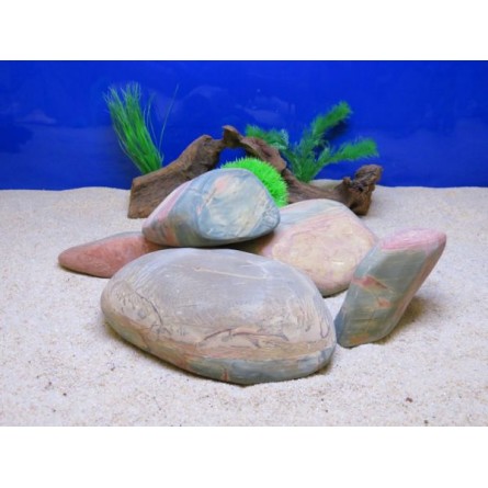 AQUAVIE - Pierre - FUTURE S1 - FREAK ROCK AQUAVIE - Pierre - FUTURE S1 - FREAK ROCK