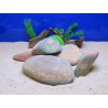 AQUAVIE - Pierre - FUTURE S1 - FREAK ROCK AQUAVIE - Pierre - FUTURE S1 - FREAK ROCK