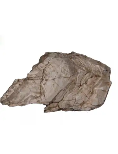 AQUAVIE - Piedra - PREHIST - S