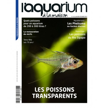 The Aquarium at home - Number 143 The Aquarium at home - Number 143