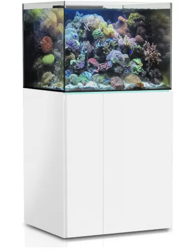 AQUA MEDIC - Armatus 300 XD - Blanc - Aquarium d'eau de mer