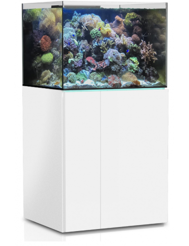 AQUA MEDIC - Armatus 300 XD - White - Saltwater aquarium