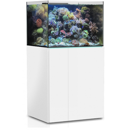 AQUA MEDIC - Armatus 300 XD - Bijeli - Akvarij s morskom vodom AQUA MEDIC - Armatus 300 XD - Bijeli - Akvarij s morskom vodom