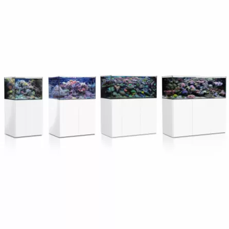 AQUA MEDIC - Armatus 300 XD - Blanc - Aquarium d'eau de mer