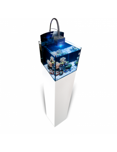 AQUA MEDIC -Blenny Qube - Wit - Compleet zeewateraquarium