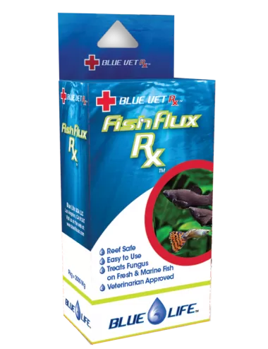 BLUE LIFE USA - Fish Flux Rx - 4gr - Antifungal medication for ornamental fish