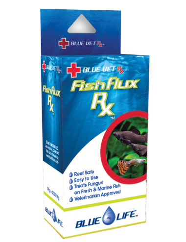 BLUE LIFE USA - Fish Flux Rx - 4gr - Médicament antifongique pour poissons d'ornement
