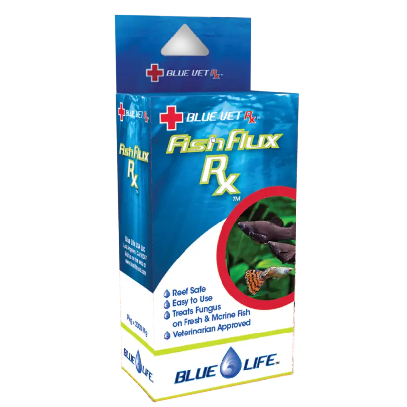 BLUE LIFE USA - Fish Flux Rx - 4gr - Médicament antifongique pour poissons d'ornement