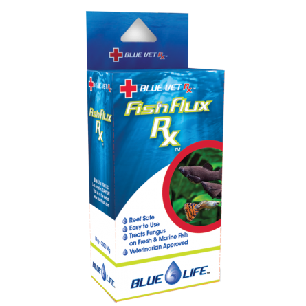 BLUE LIFE USA - Fish Flux Rx - 4gr - Médicament antifongique pour poissons d'ornement