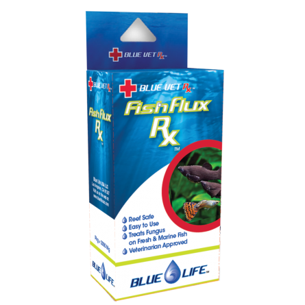 BLUE LIFE USA - Fish Flux Rx - 4gr - Medicamento antifúngico para peixes ornamentais