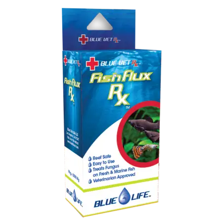 BLUE LIFE USA - Fish Flux Rx - 4gr - Médicament antifongique pour poissons d'ornement