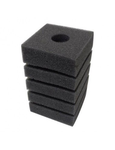 AQUAEL - Espuma filtrante densa para filtro Pat Mini - x1