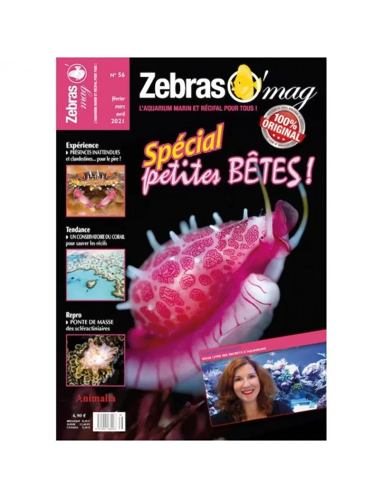 EDICIONES ANIMALIA - ZebrasO'mag N°56 Animalia Editions - 1