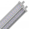 AQUATLANTIS - EasyLED Universal 2.0 - Eau Douce 6800 K - 438 mm
