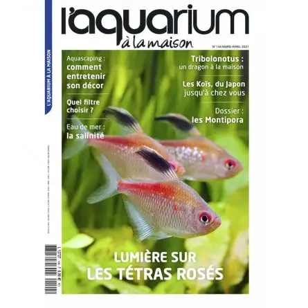 The Aquarium at home - Number 144 The Aquarium at home - Number 144