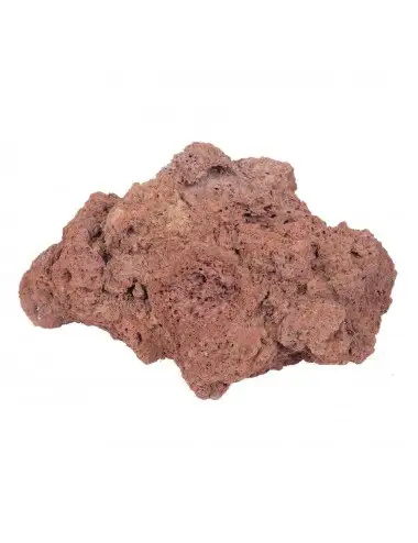 TROPICA - Lava Rock - 8-15 cm - Roche de lave - 1 pièce