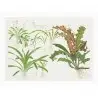 TROPICA - Kunstposter Sagittaria - 40x30cm - Plantenposter TROPICA - Kunstposter Sagittaria - 40x30cm - Plantenposter