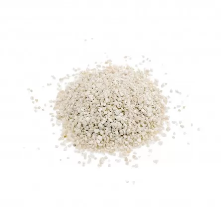 AKVARIJSKI SUSTAVI - Paleosand srednji - 5kg - prirodni aragonitni pijesak - 2 veličine čestica (1-2 mm i 3 mm)