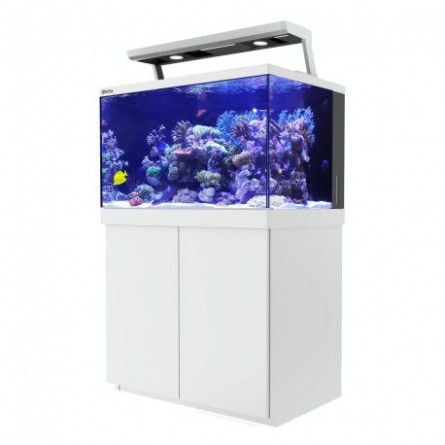 RDEČE MORJE - Aquarium Max® S-400 + 2x ReefLED - Bela omara - 400 litrov