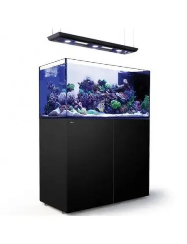 RED SEA - Reefer Peninsula Deluxe - P500 - Nero - (3 ReefLED, rampa sospesa)