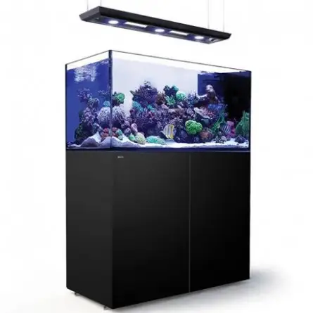 RED SEA - Reefer Peninsula Deluxe - P500 - Noir - (3 ReefLED , rampe suspendue)